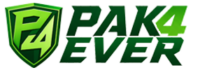 p4e logo