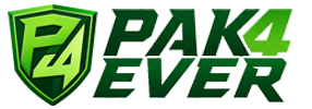 p4e logo